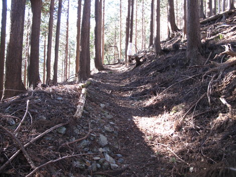 20190121hike (46)